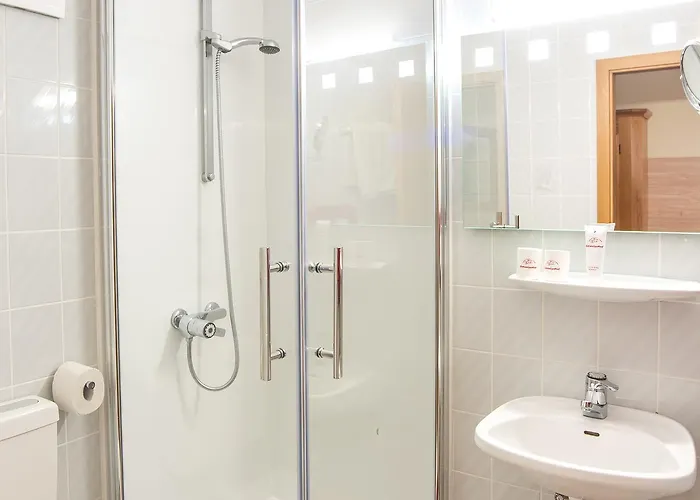 Schweizerhof 호텔 3*